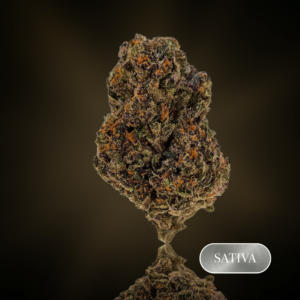 Candy Jack  - 1 oz (28g) - THC 23%