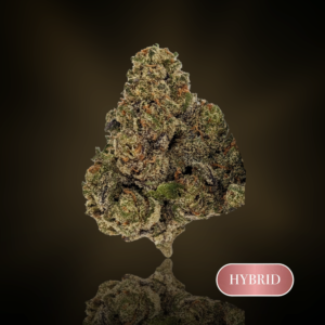 Cereal Milk #10  - 1/8th (3.5g) - THC 26%