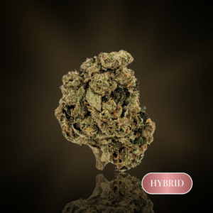 Gruntz - 1 oz (28g) - THC 21%