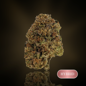 Wave Rider  - 1 oz (28g) - THC 24%