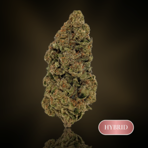 White Cherry Gelato  - 1 oz (28g) - THC 23%