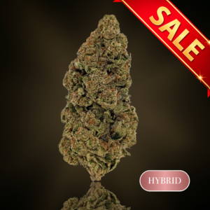 White Cherry Gelato - 1 oz (28g)