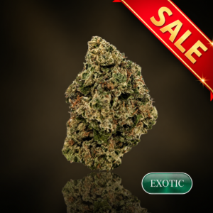 Watermelon Runtz  - 1 oz (28g) - 22%
