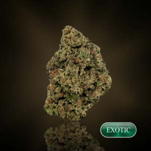 Watermelon Runtz  - 1 oz (28g) - THC 22%