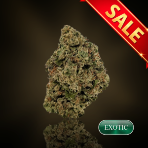 Watermelon Runtz  - 1 oz (28g) - 22%