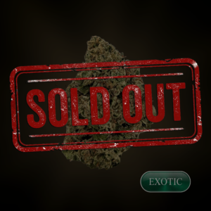 Watermelon Runtz  - 1 oz (28g) - THC 22%