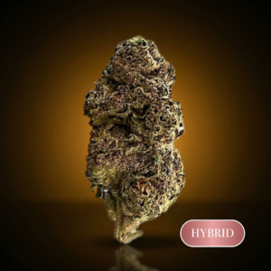 707 Headband - 1oz (28g) - THC 22%