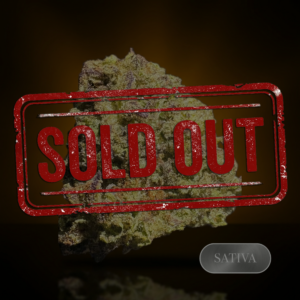Amnesia Haze - 1 oz (28g) - THC 22%