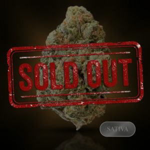 Blue Dream - 1 oz (28g) - THC 23%