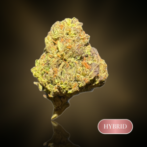 Gelato 33 - 1 oz (28g) - THC 23%