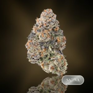 Gelonade - 1 oz (28g) - THC 24%