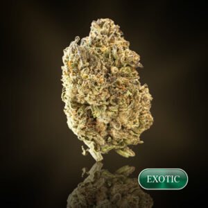 Oreo Blizzard - 1 oz (28g) - THC 22%