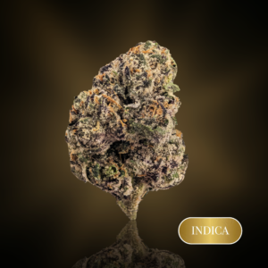 Gusherz (Indoor) - 1 oz (28g) - 32%