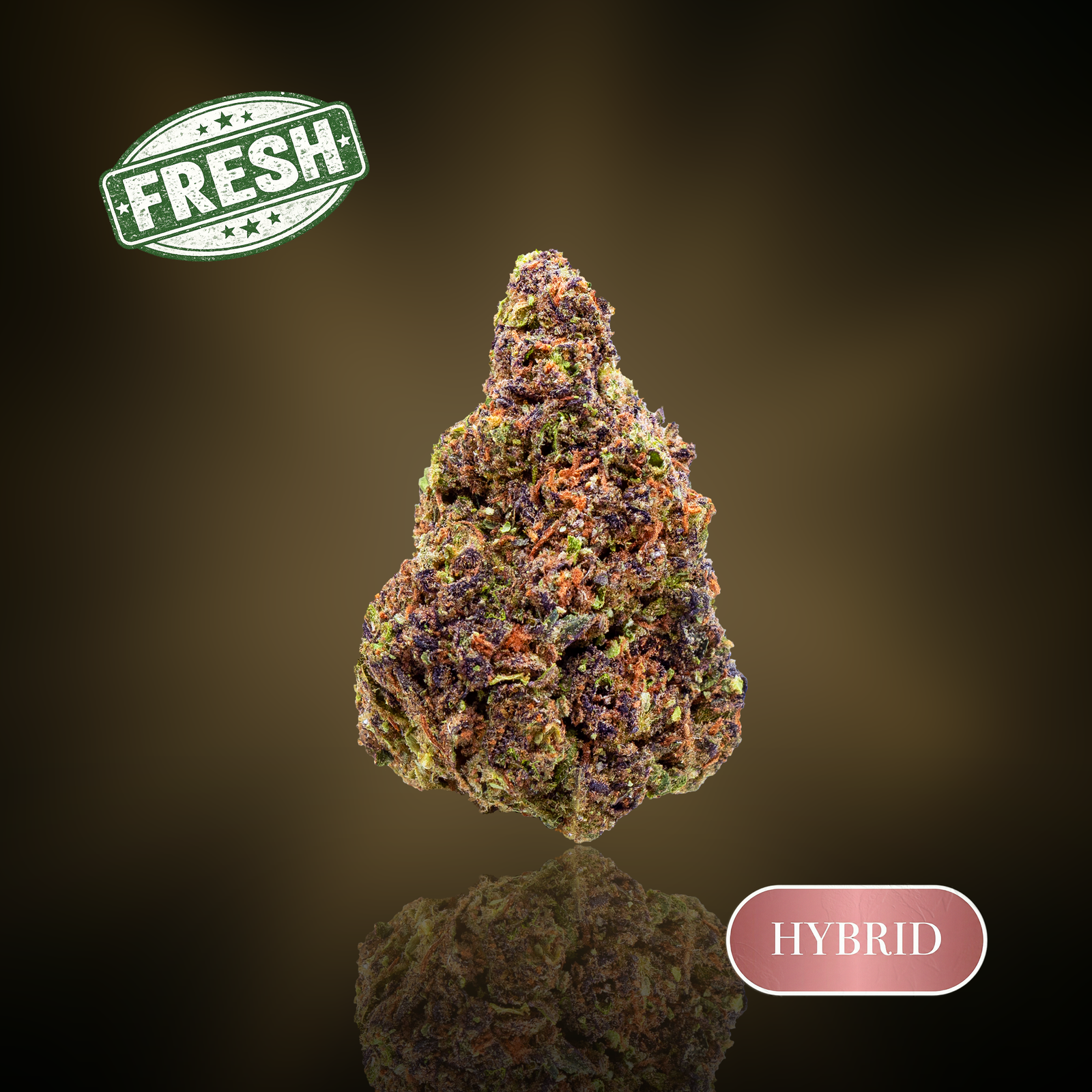 Applescotti (Indoor) - 1 oz (28g) - 31%