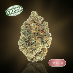Lemon Cherry Slapz- 1 oz (28g) - 33%
