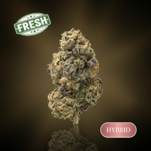 ZRuntz- 1 oz (28g) - 32%