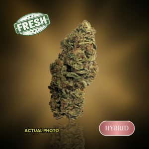 Maui Tangie - 1 oz (28g) - 30%