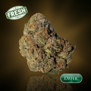 Versace- (Indoor) - 1 oz (28g) - 30%