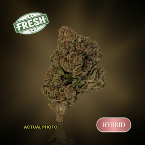 Blue Nerdz - 1 oz (28g) - 28%