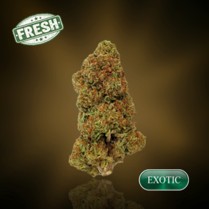 ZGelato - 1 oz (28g) - 30%