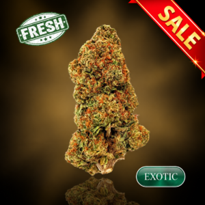 ZGelato - 1 oz (28g) - 30%